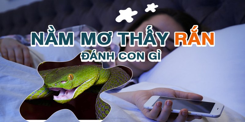 Nằm mơ thấy rắn đánh số gì khi cắn người khác